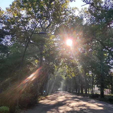 Romantic Riverview Bestern Lejlighed Szeged